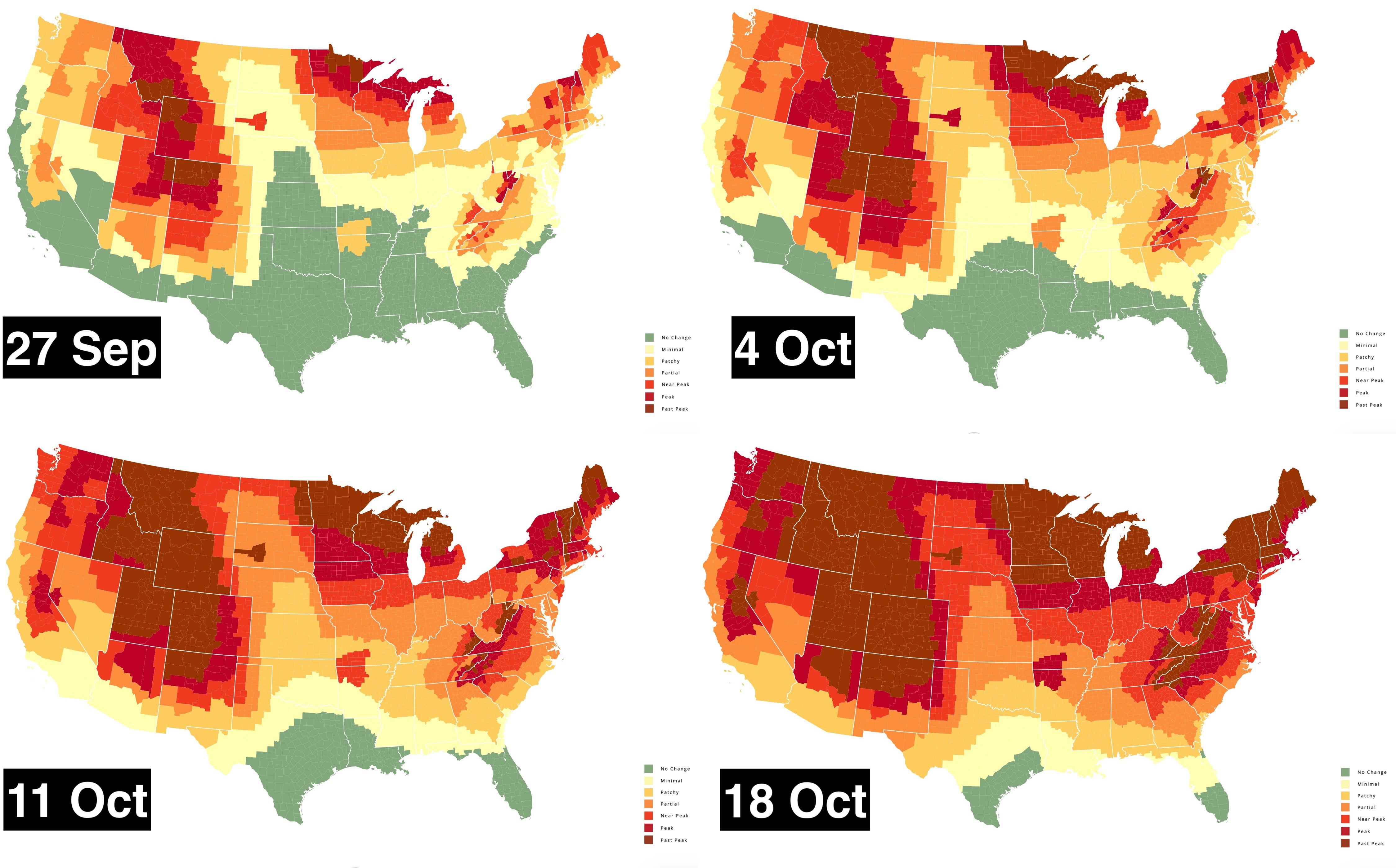 Peak foliage map where and when are leaves changing color? Big Think