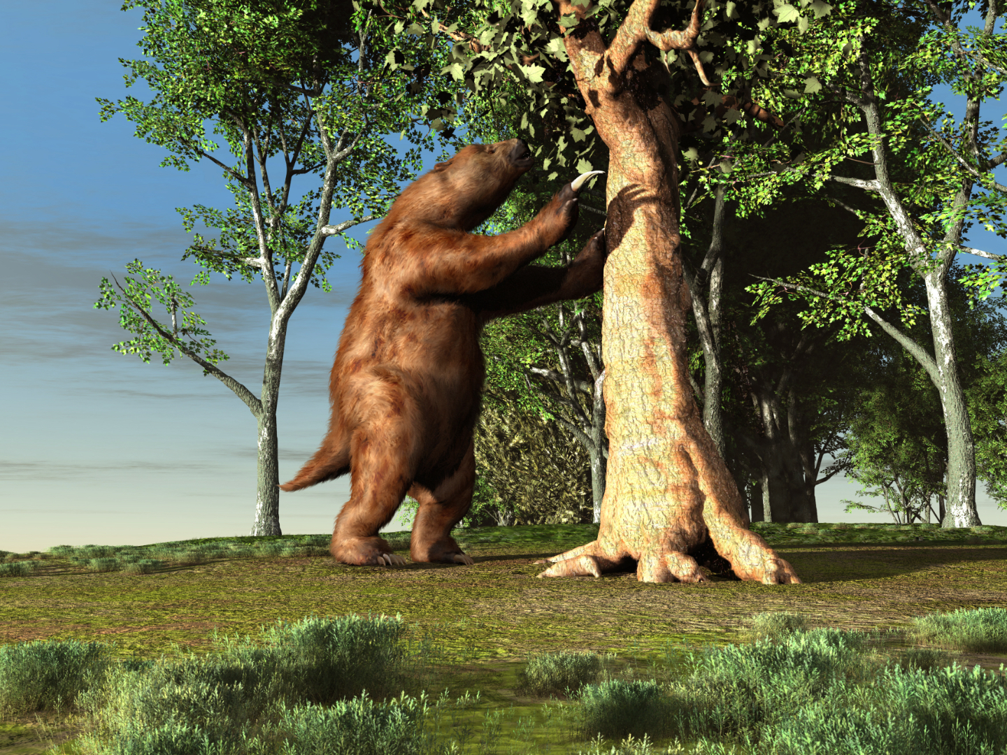 Long assumed to be devoted vegetarians, ancient sloths were fine with some meat.