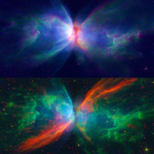 cosmic beauty