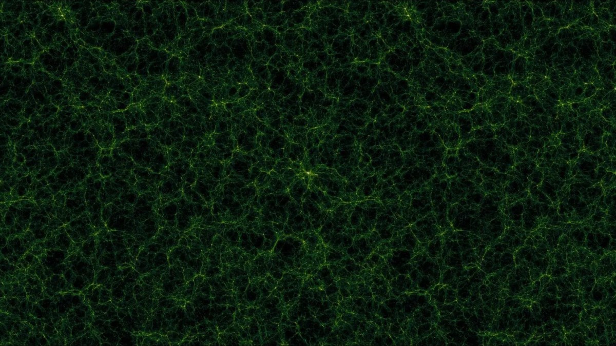 An abstract green fractal pattern resembling interconnected neural pathways on a black background evokes the complexity of a fractal universe.