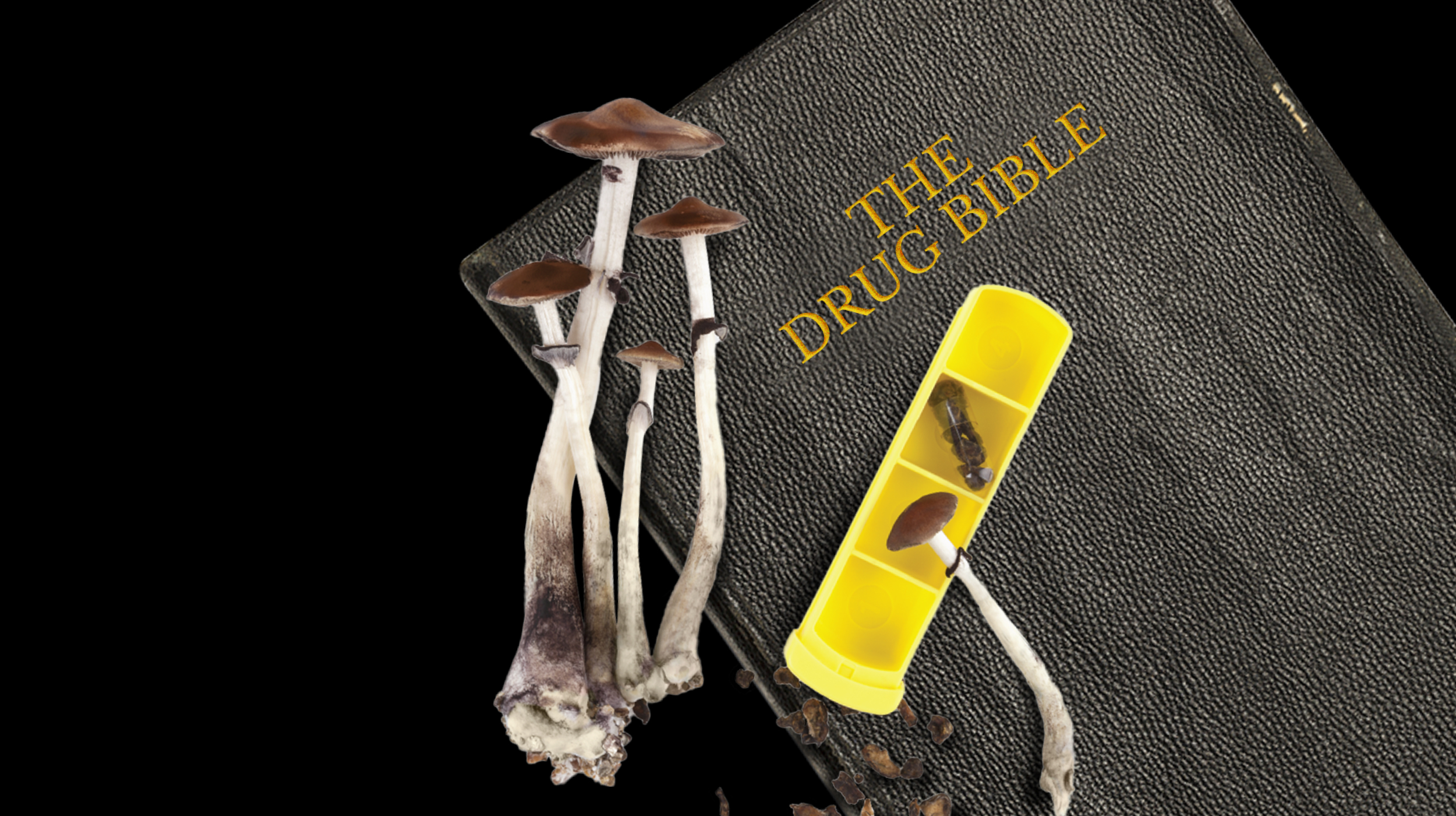 recreational drug use
