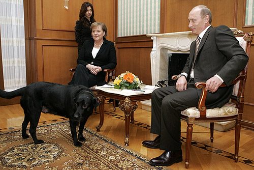 A picture from a 2007 meeting between Angela Merkel and Vladimir Putin.