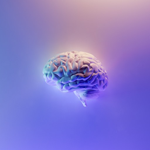 Brain against a purple background