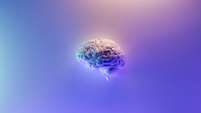 Brain against a purple background