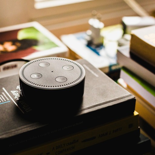 Alexa on a pile of books.