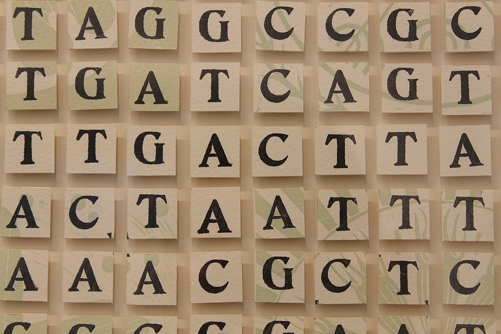 genome editing gattaca