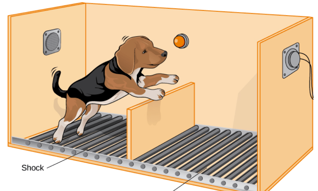 learned helplessness