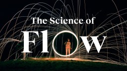 What is flow state