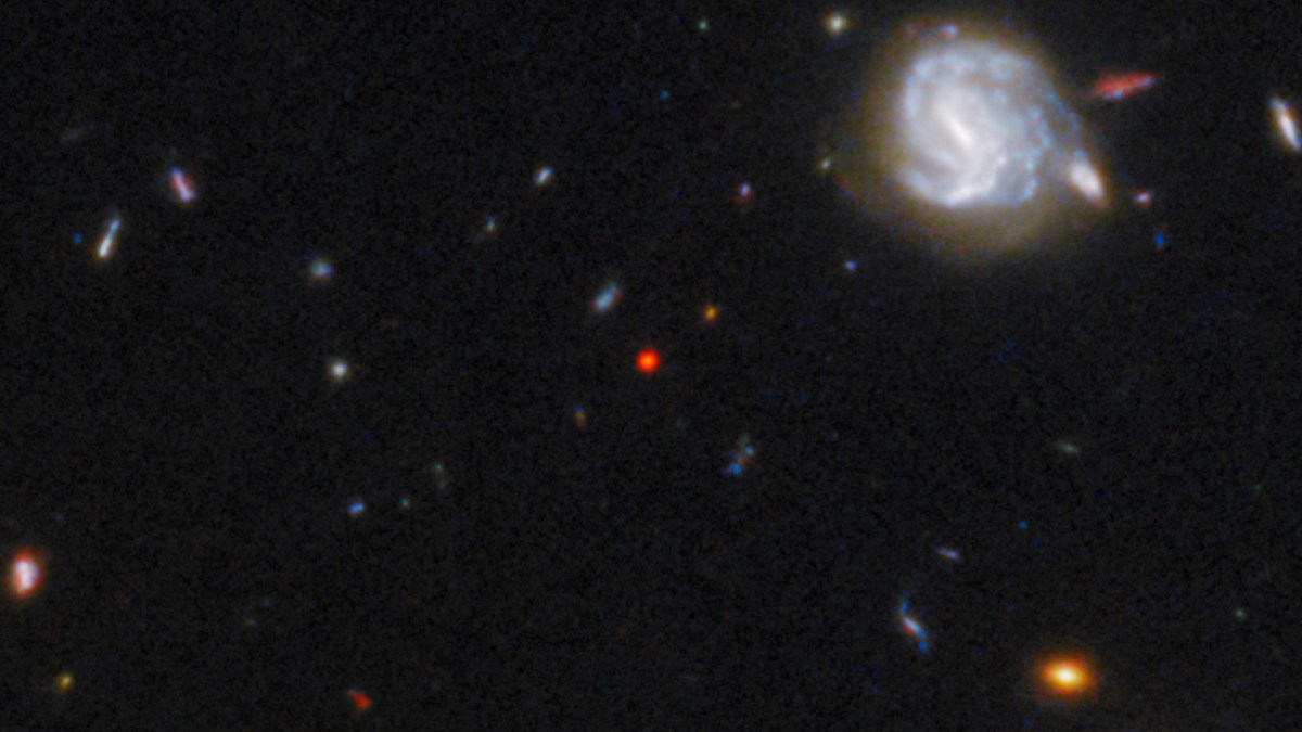 quasar-galaxy hybrid