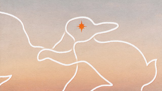 A minimalist drawing of a duck outlined in white against a gradient background, with an orange star shape marking the eye, invites you to question your perception.