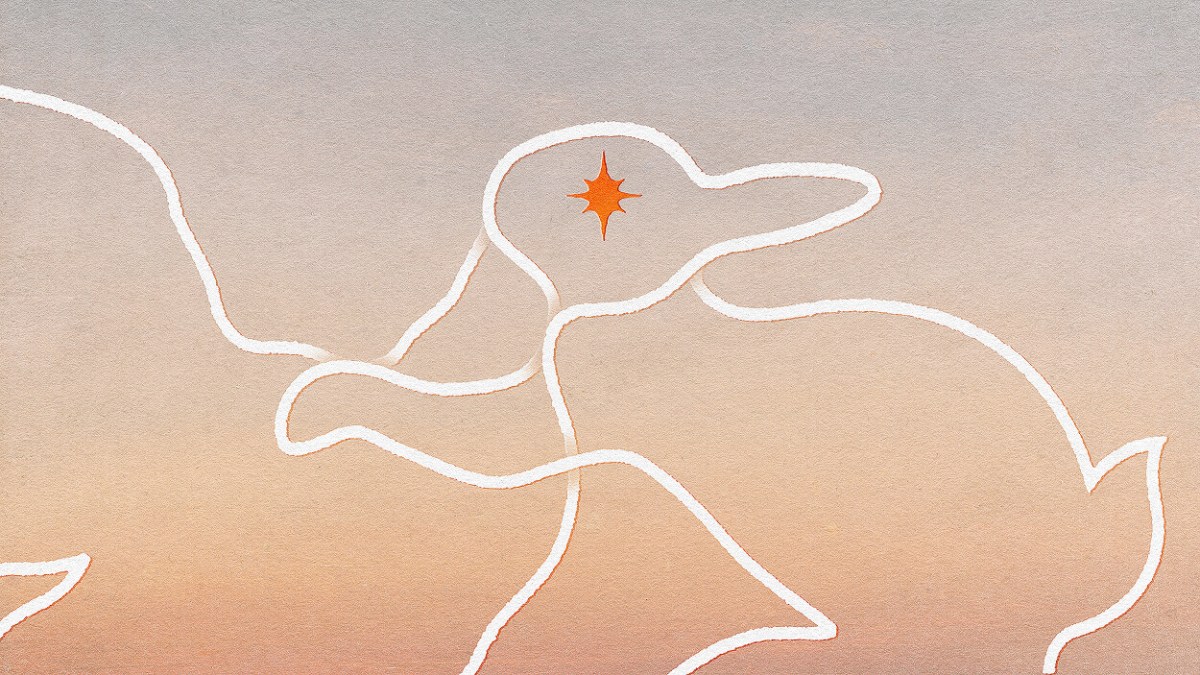 A minimalist drawing of a duck outlined in white against a gradient background, with an orange star shape marking the eye, invites you to question your perception.