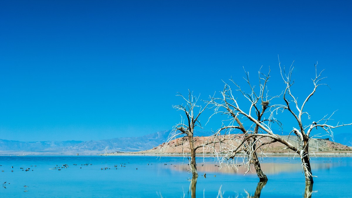 salton sea
