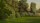 A blurred image of a green grassy field bordered by tall trees under a partly cloudy sky evokes a sense of nostalgia.