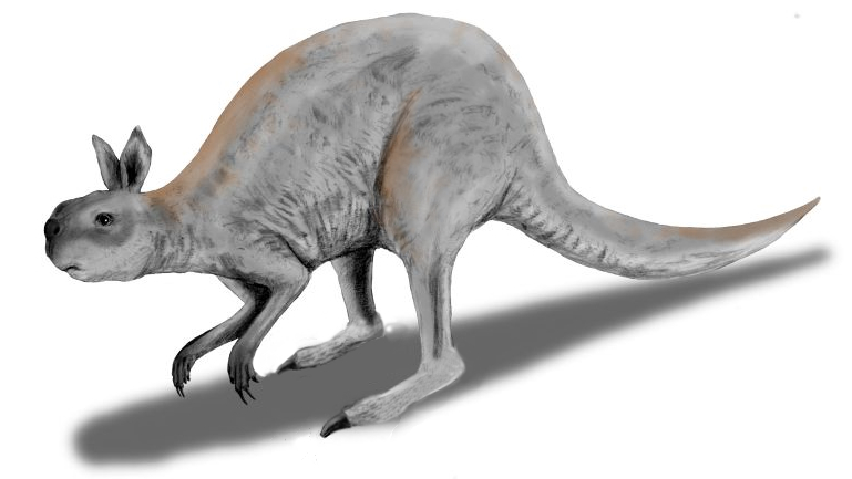 Cave painting procoptodon goliah