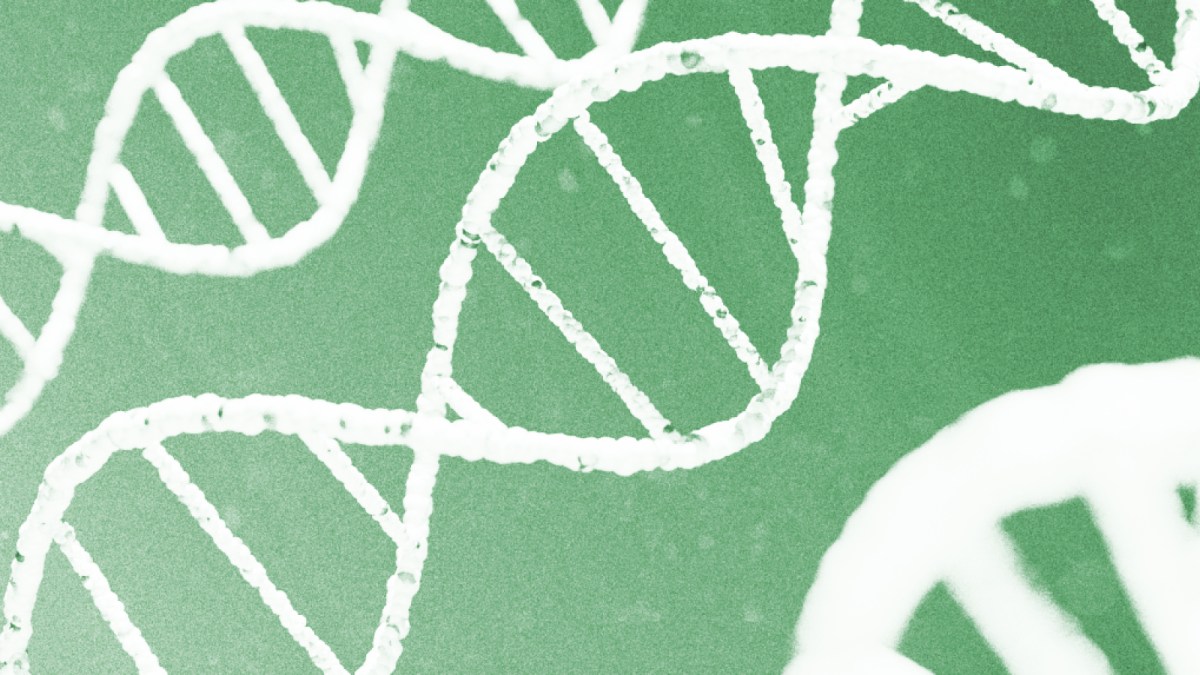 Close-up illustration of white DNA double helix strands on a green background, highlighting the potential for CRISPR gene-editing technology.