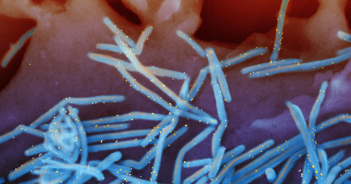 science breakthroughs