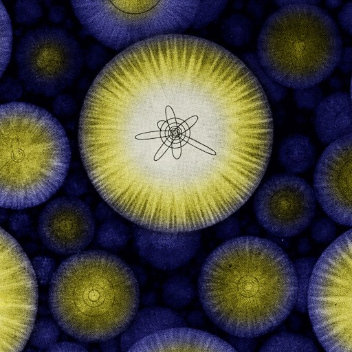 atoms