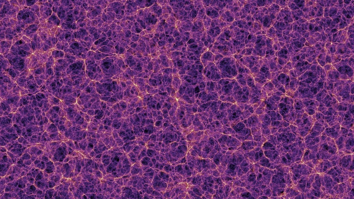 millennium simulation cosmic web slice