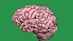 Illustration of a human brain in pink tones shown in profile view, set against a solid green background.