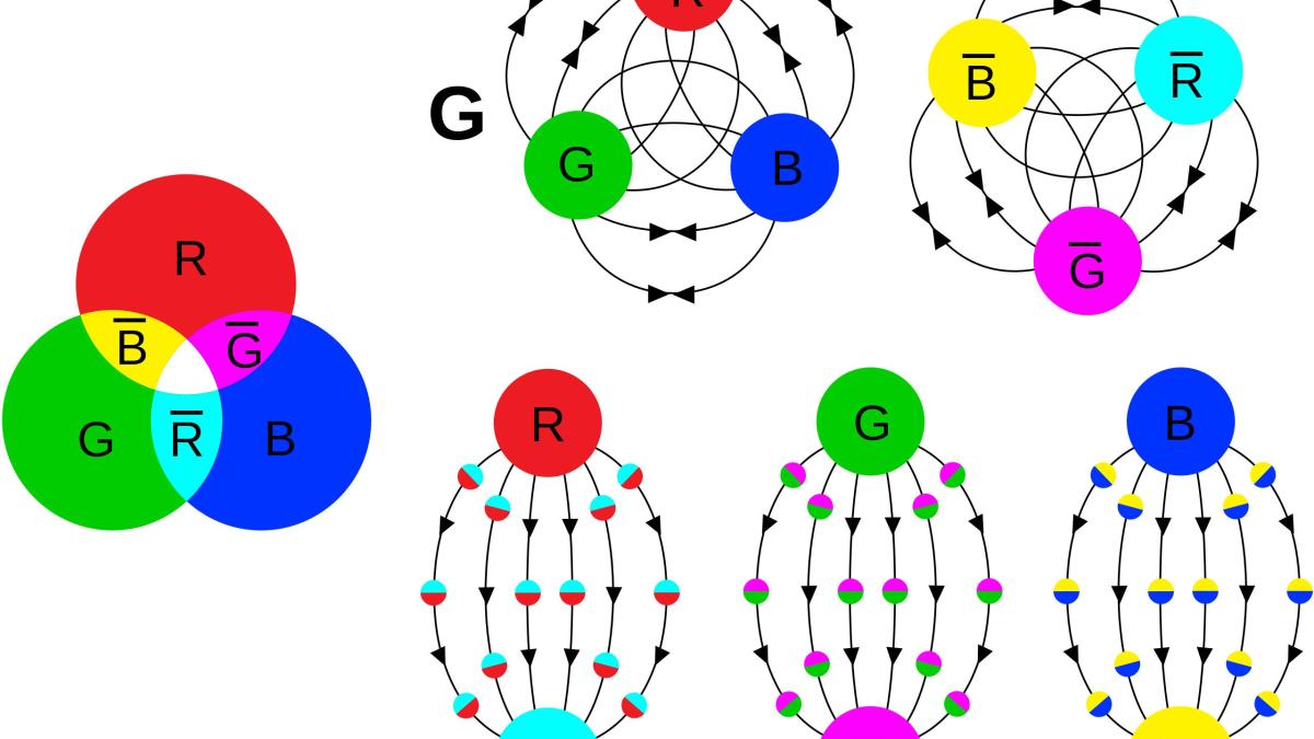 qcd fields color anticolor