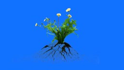 A cluster of yellow flowers with green leaves grows from cracked soil, with visible roots, on a solid blue background.