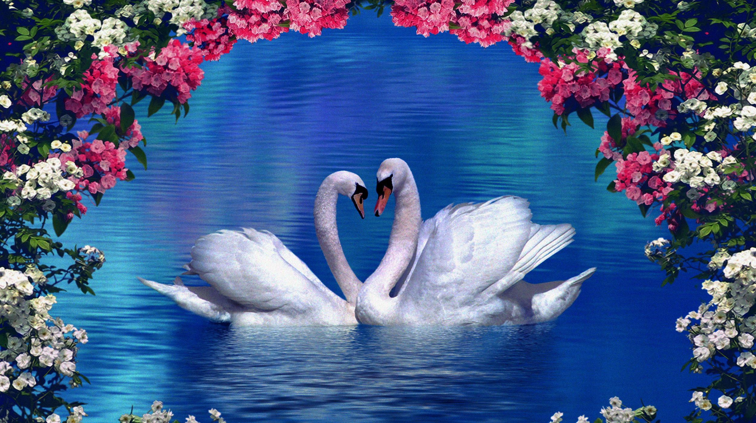 a painting of two swans swimming in a lake.