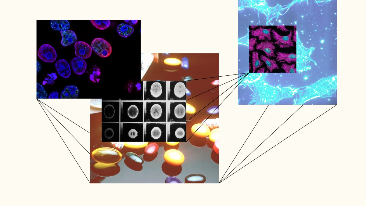 a collage of images of cell phones and cell phones.