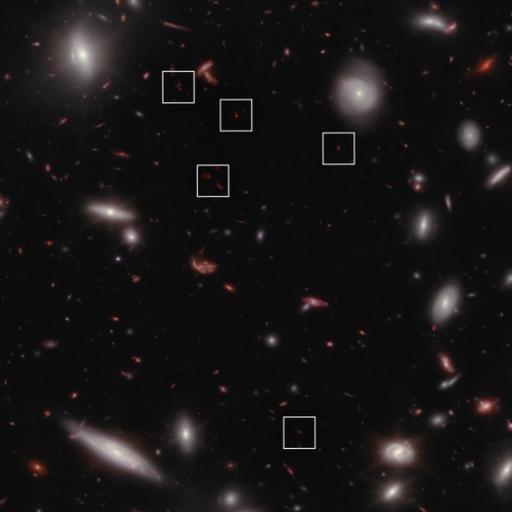 JWST most distant galaxy proto-cluster