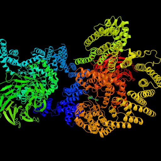 a multicolored image of a cell phone.