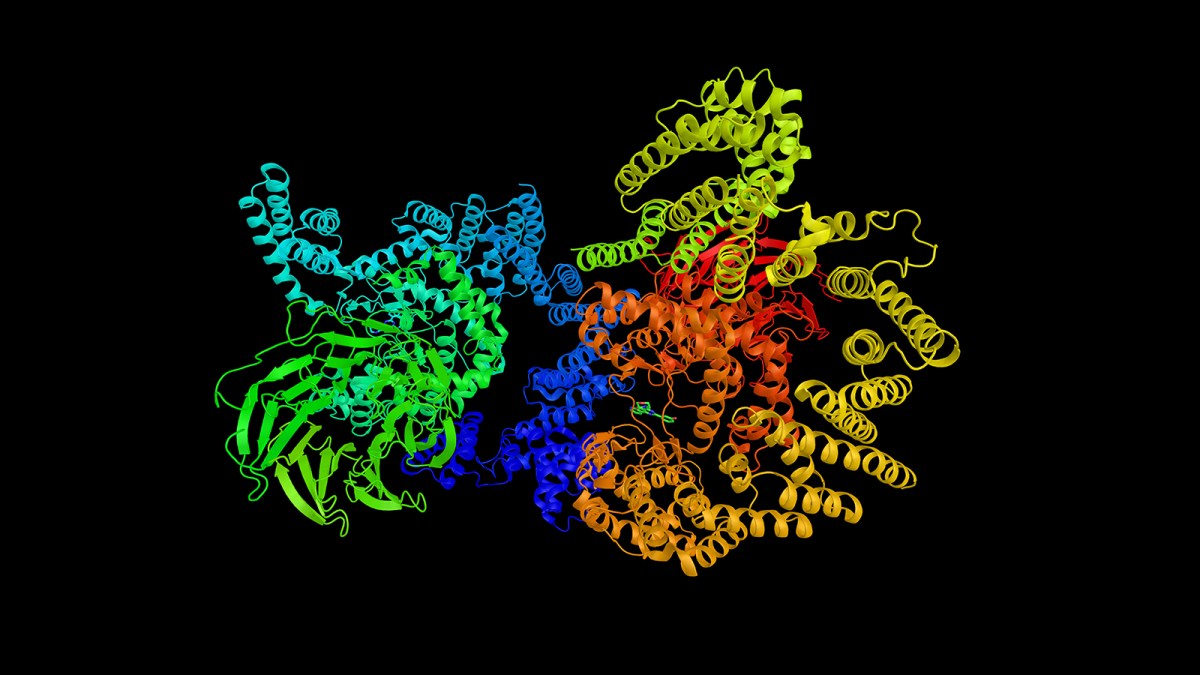 a multicolored image of a cell phone.