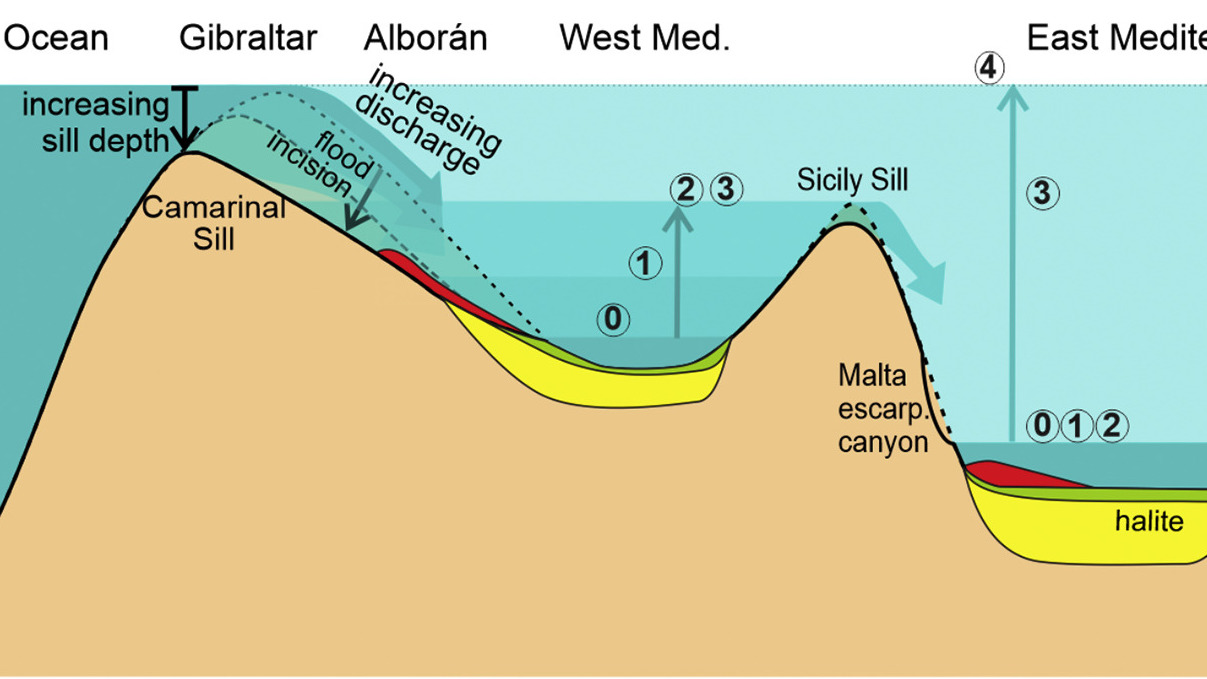 a diagram of the ocean floor.