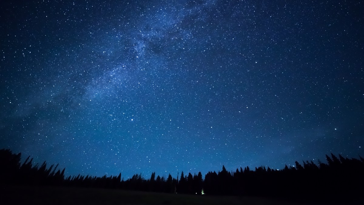 the night sky with stars and trees in the foreground.