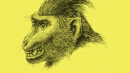Detailed black and white sketch of a baboon’s head in profile, showing its expressive face and rough fur, on a solid yellow background.