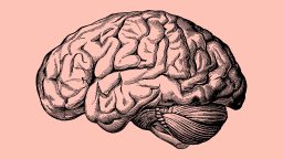 Black and white vintage illustration of a human brain viewed from the side, set against a solid light pink background.