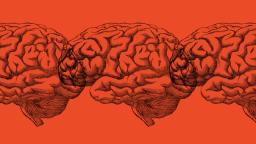 Three illustrated human brains in a row on an orange background.