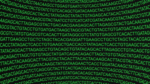 An image of a green DNA replication background.