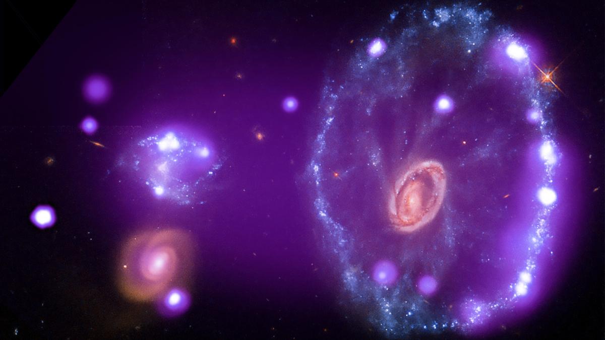 X-ray view cartwheel galaxy