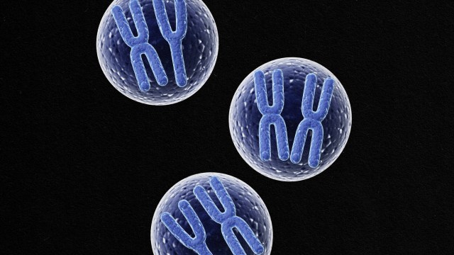 three blue - blue - blue - blue - blue - blue - blue - blue - blue - blue .