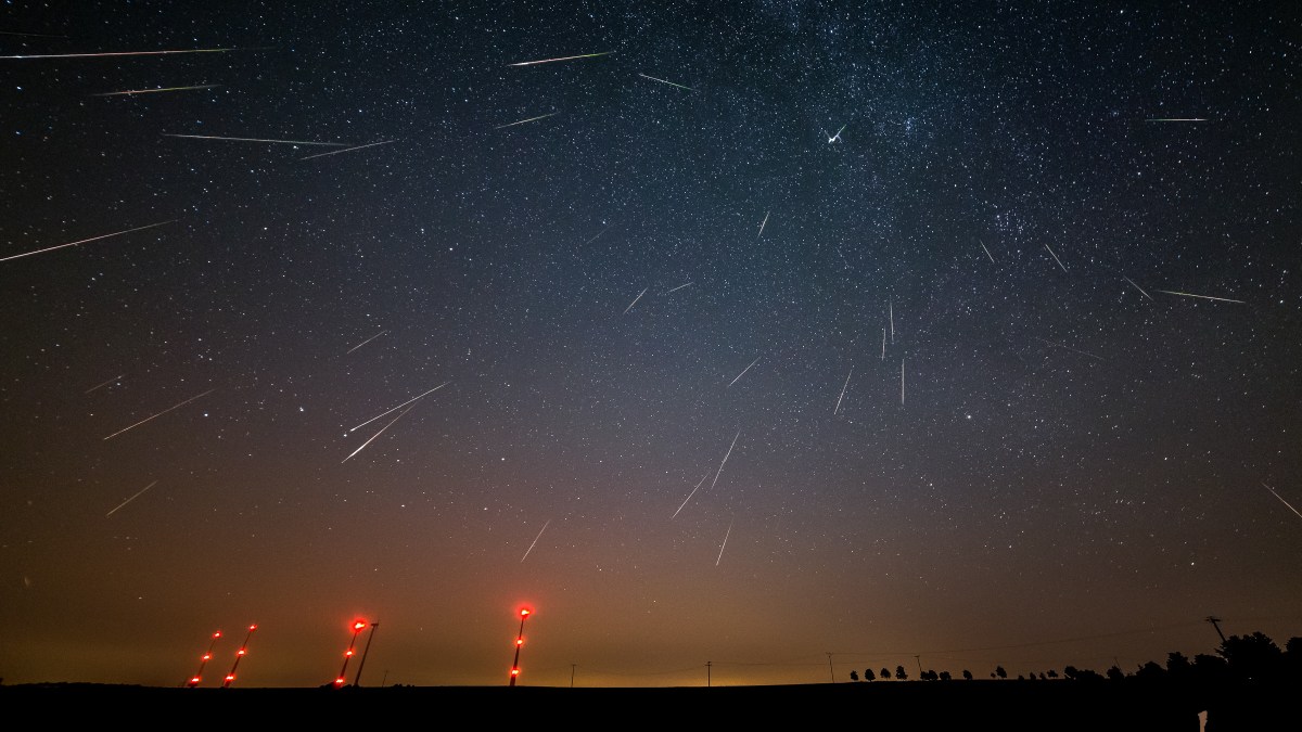 A night sky filled with numerous shooting stars during the Perseid meteor shower.