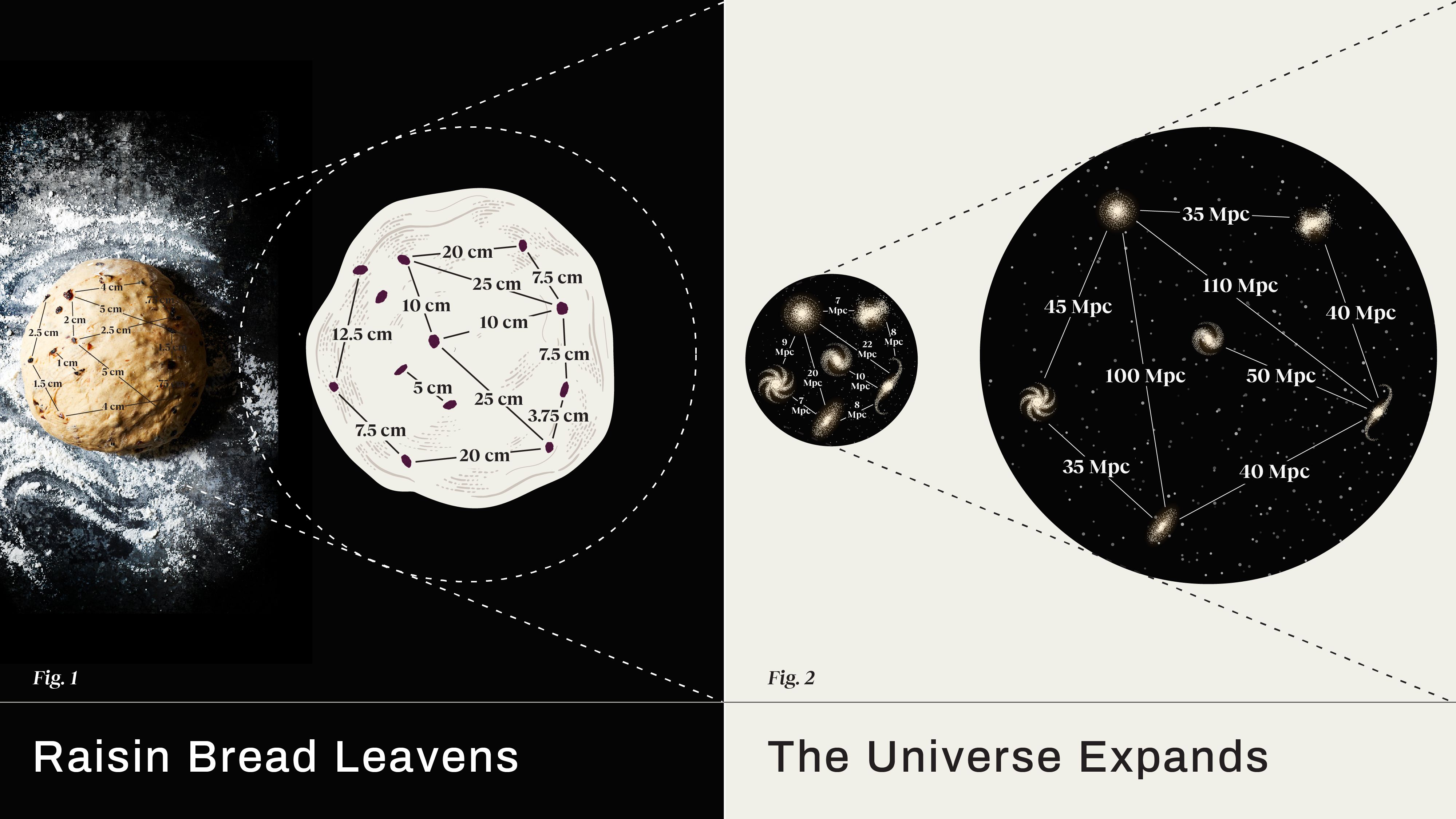 Raisin bread expanding Universe