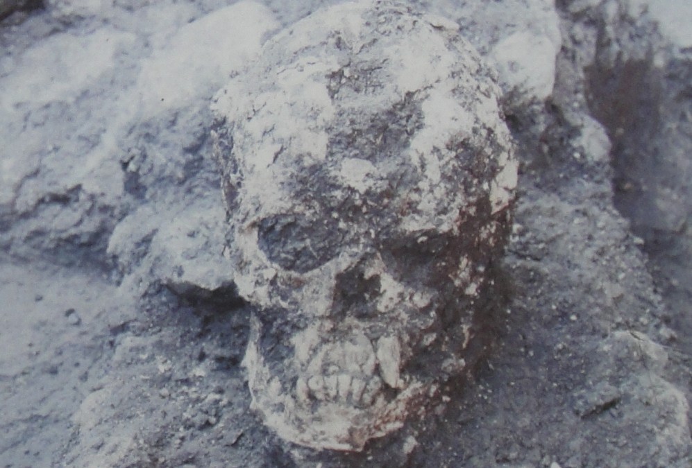 A photo of a skull conjured through necromancy in a pile of dirt.