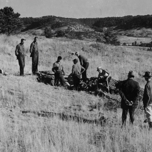 A group of men standing in a grassy area at Fossil Cycad National Monument.