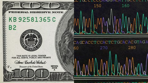 A picture of a dollar bill with a wave pattern.