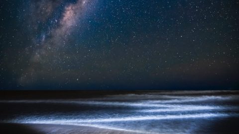 A man standing on a beach under the mysterious milky.