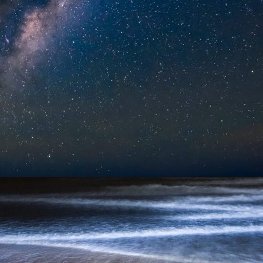 A man standing on a beach under the mysterious milky.