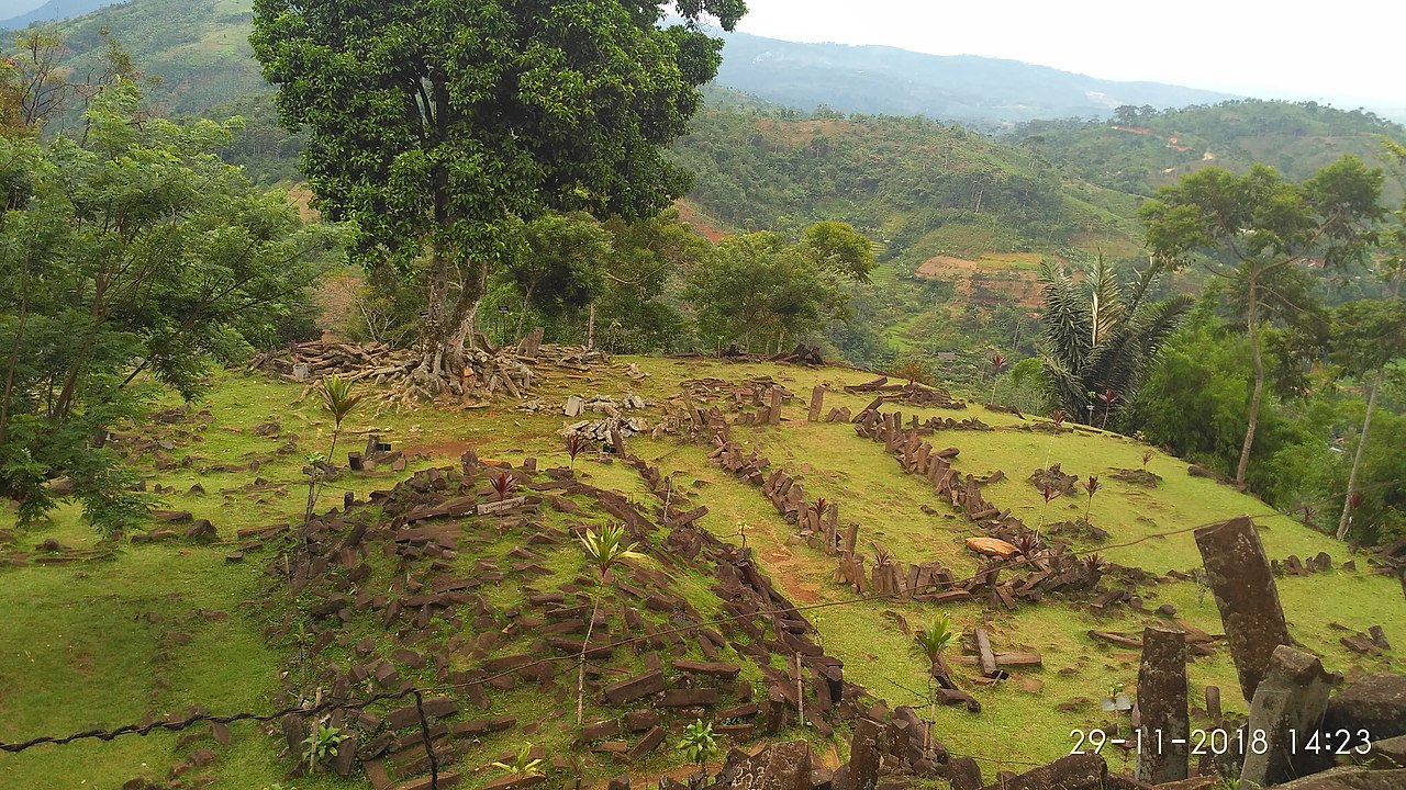 A view of a hill with a lot of trees on it.