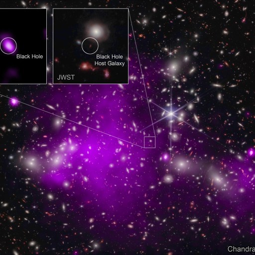 pandora cluster nircam chandra uhz1