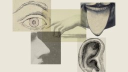 A collage featuring detailed illustrations of an eye, nose, ear, mouth with tongue, and a hand against a light background.