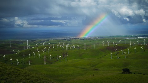 A rainbow over wind turbines.