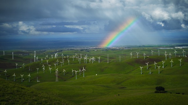A rainbow over wind turbines.